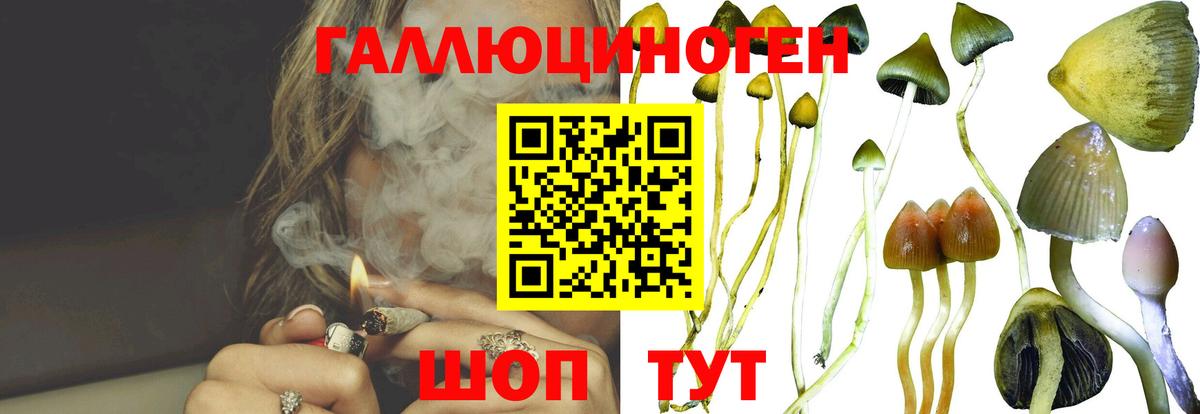 Юрга  как найти   Вход с VPN  Галлюциногенные грибы мухоморы 